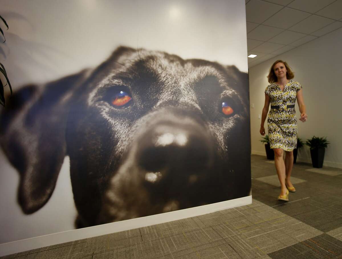 In innovation, Big Heart Pet Brands barks up the right tree