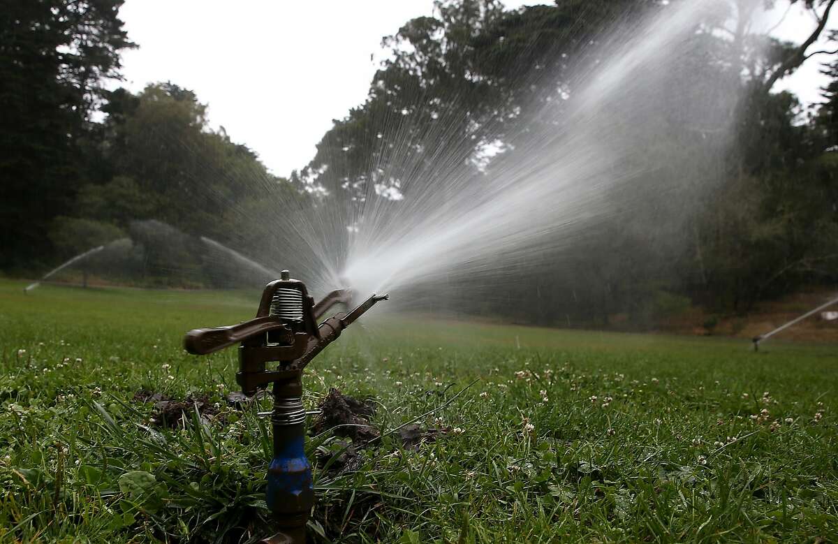 SAN FRANCISCO, CA - JULY 15: Sprinklers water a lawn in Golden Gate Park on July 15, 2014 in San Francisco, California. As the California drought continues to worsen and voluntary conservation is falling well below the suggested 20 percent, the California Water Resources Control Board is considering a $500 per day fine for residents who waste water on landscaping, hosing down sidewalks and car washing. (Photo by Justin Sullivan/Getty Images)
