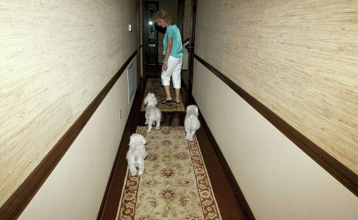 Dinah Miller walks with her Maltese dogs, Marlo, Reese and Cookie, at their home in Tyler, Texas on Tuesday, July 22, 2014. Miller says she lost Reese in 2007 during a trip to Dallas. Reese was discovered in Tacoma, Wash. seven years later and was returned home to the Miller family in Texas on Tuesday. (AP Photo/Tyler Morning Telegraph, Sarah A. Miller)