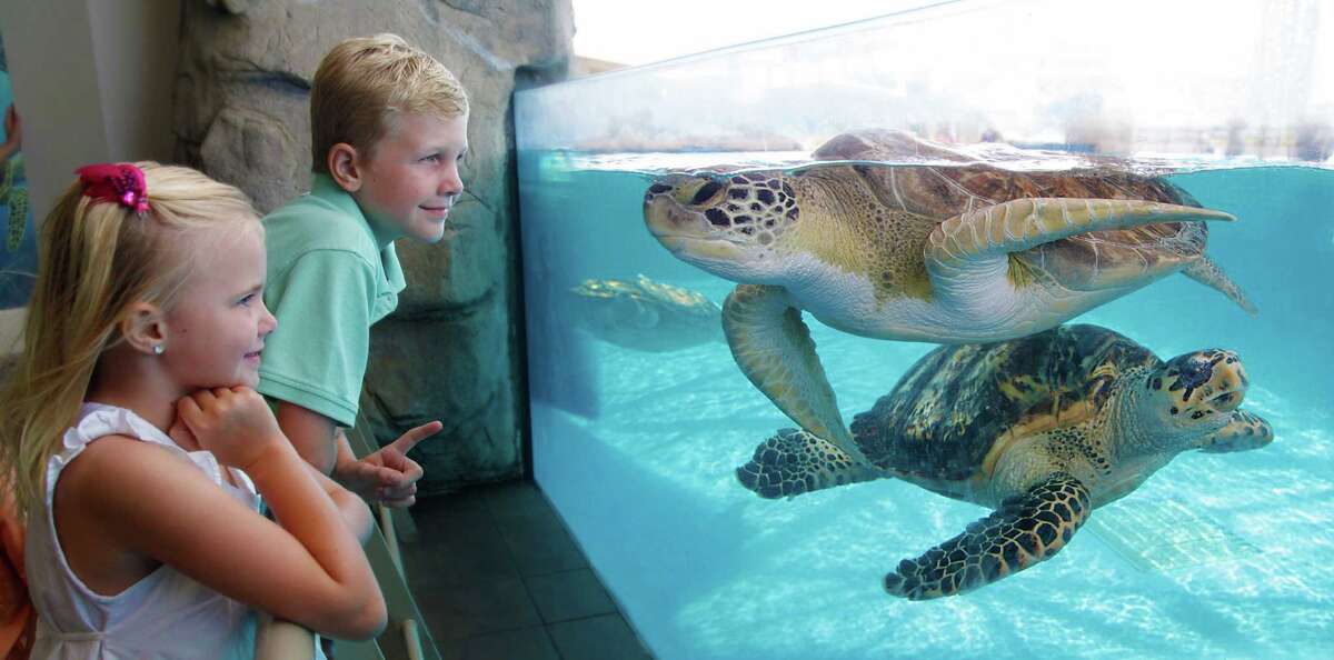 Texas State Aquarium, Corpus Christi, 50 million expansion