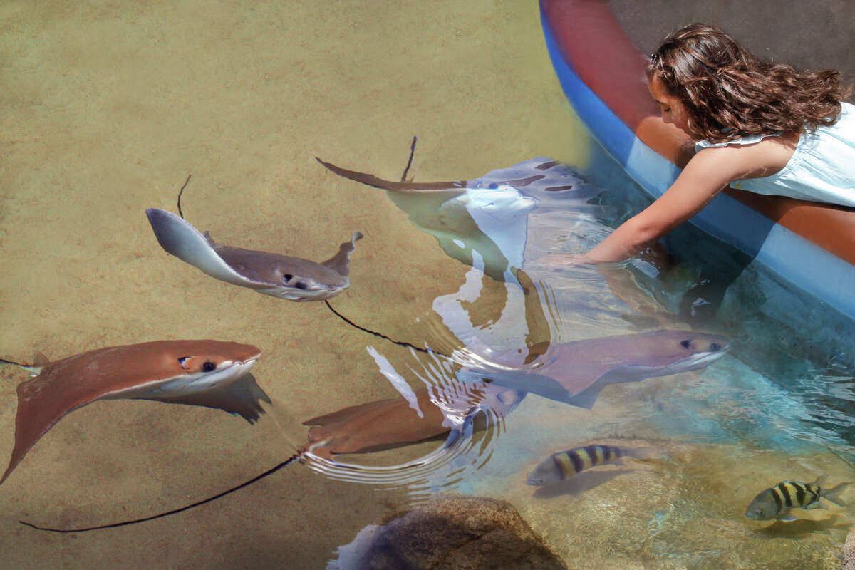 Texas State Aquarium, Corpus Christi, 50 million expansion
