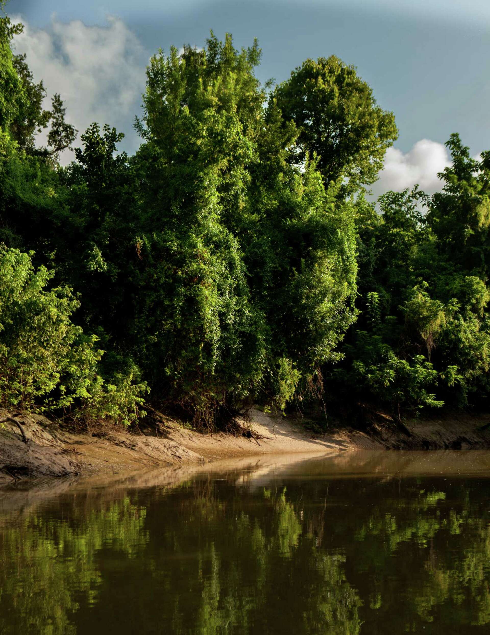The bayou banks we could lose