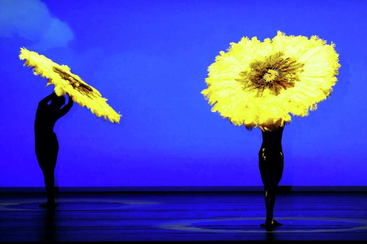 The MOMIX dance company presents its production of Botanica on Thursday, Aug. 1, 2013, at the Saratoga Performing Arts Center in Saratoga Springs, N.Y. Botanica fuses elements of dance, theater and cinema to create larger-than-life images from the natural world. (Cindy Schultz / Times Union)