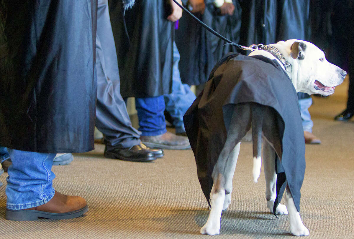 Kolby Thompson, left, stands with his specially trained psychiatric service dog Thor, right, before a graduation ceremony at Fallbrook Church, Friday, July 25, 2014, in Houston. Kolby is an Iraq, Afghanistan, Korea, Kuwait, Fort Bragg and Fort Bliss veteran who now lives with PTSD. Thor helps mitigate his stress.