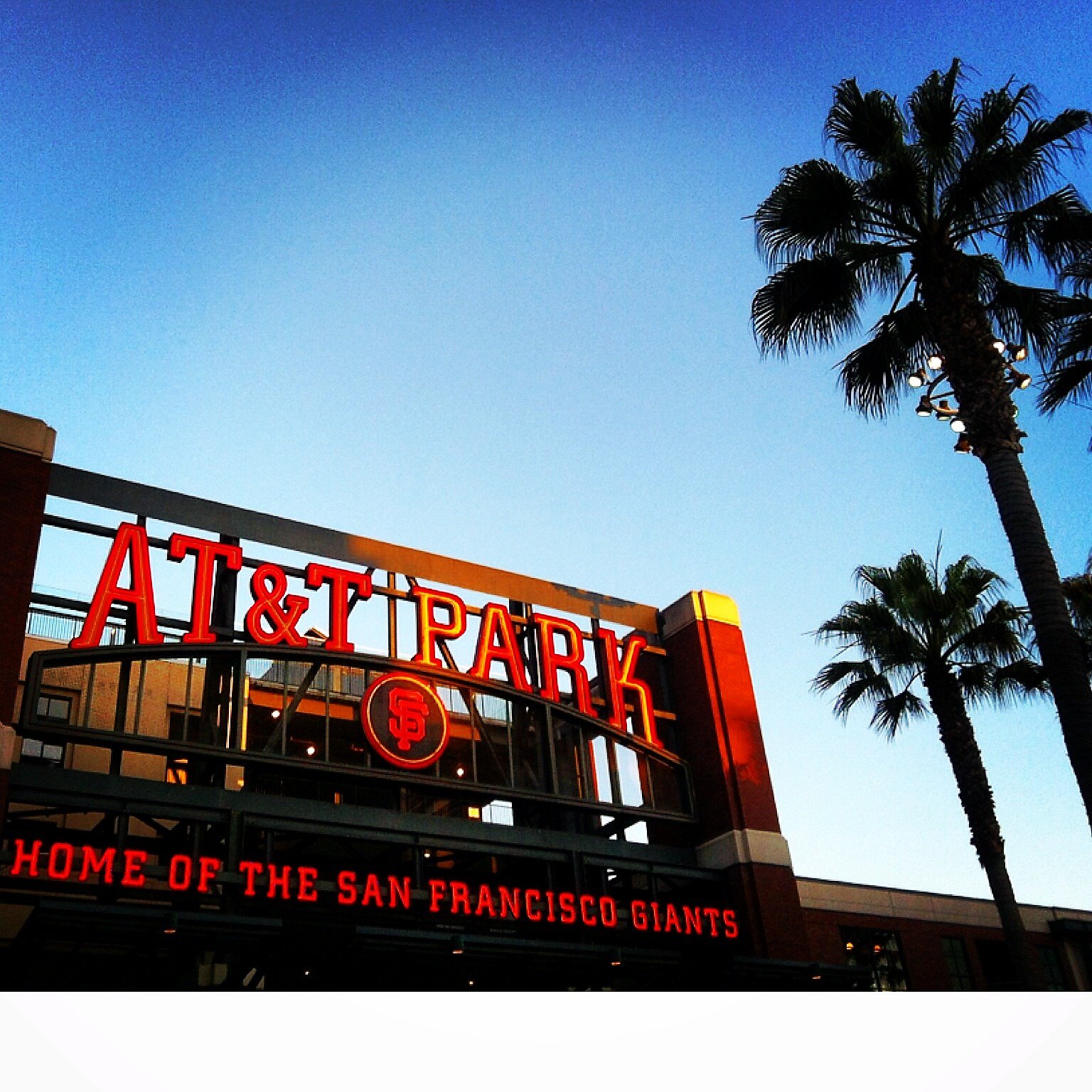 Fanion Miniature San Francisco Giants - Édition Gotham Club 2019 (porte-billets)
