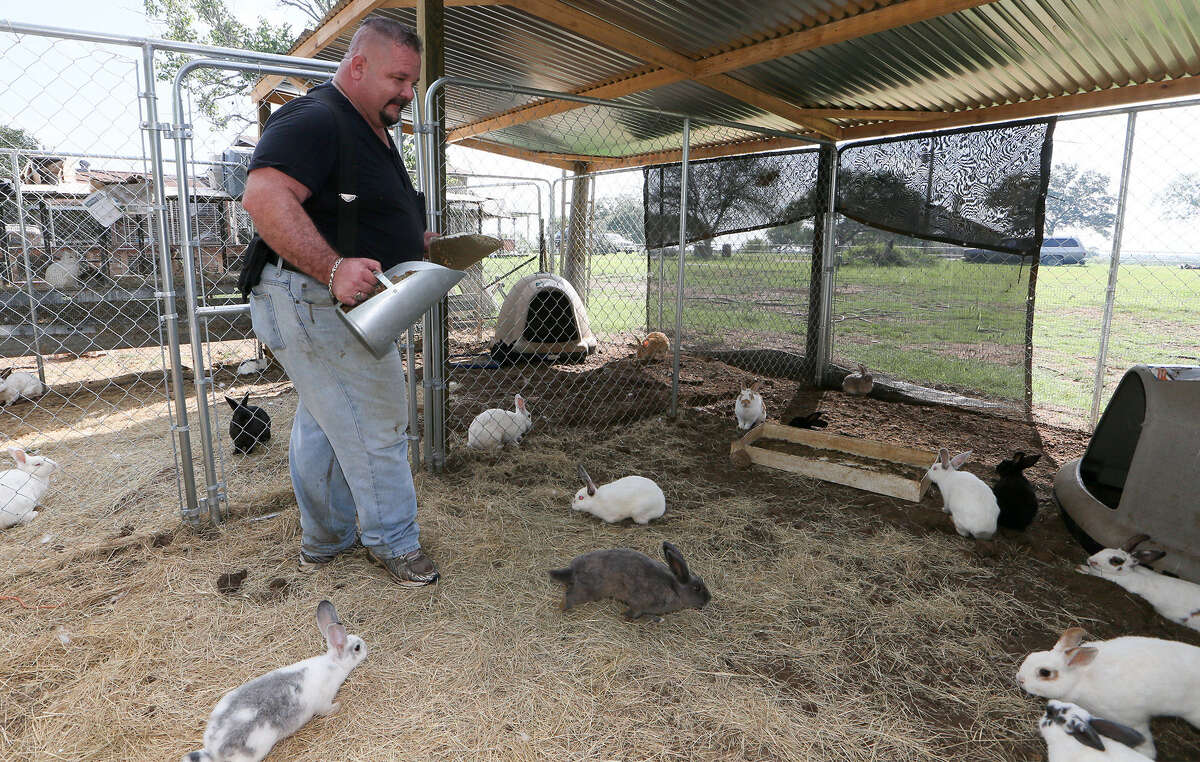 Rabbit refugee haven growing in East Bexar County