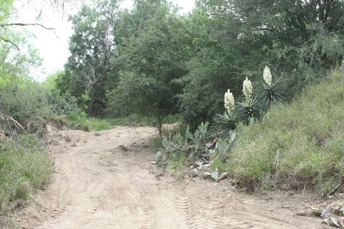 The all-natural Fordyce Nature and Running Trails in Rio Grande City house a bike trail, measuring 3.5 miles, and two walking trails, measuring 2.5 and 1.25 miles. The trails were once heavily used by human traffickers and drug smugglers.
