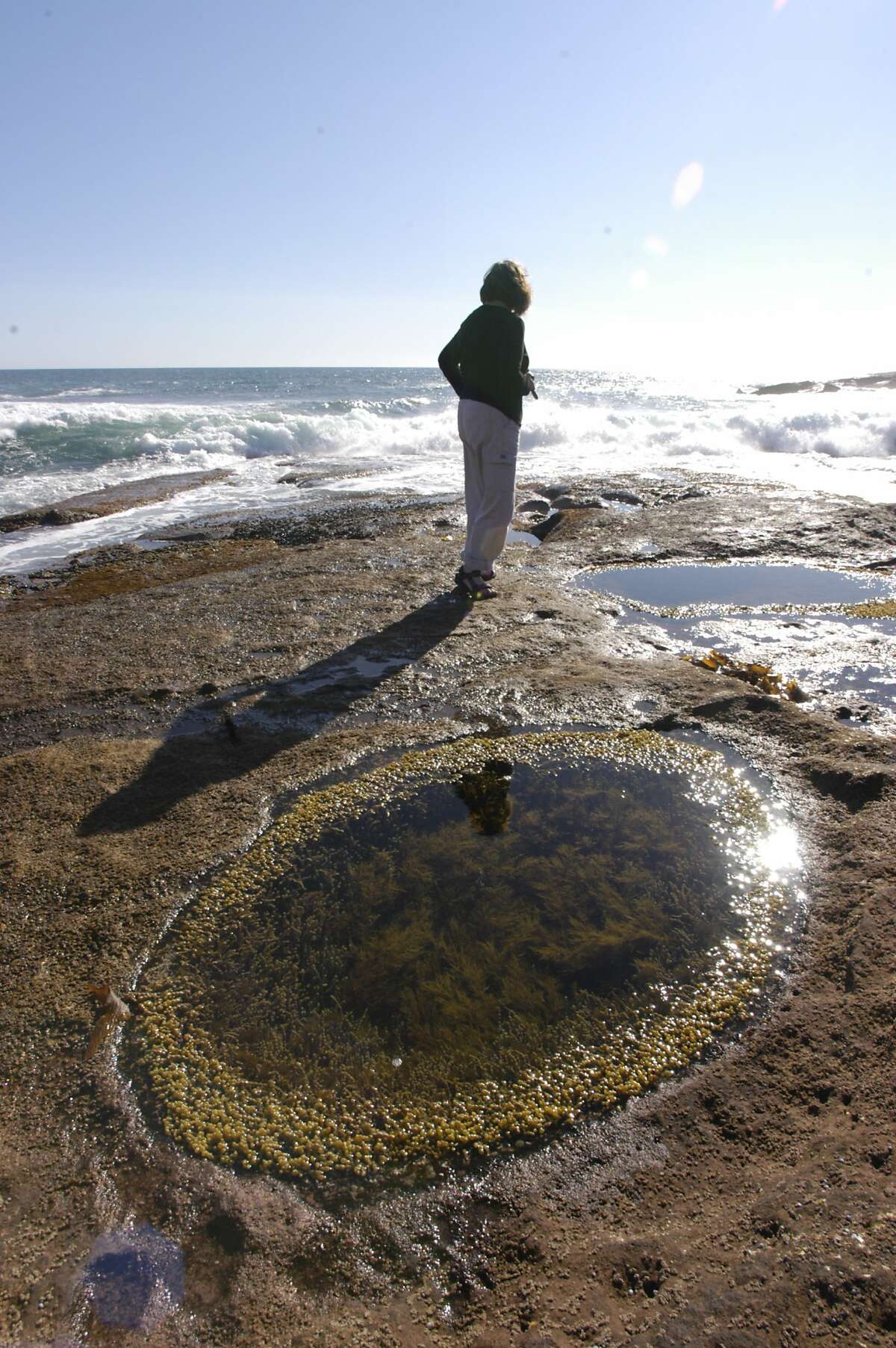 Natural oddities abound in Eyre Peninsula