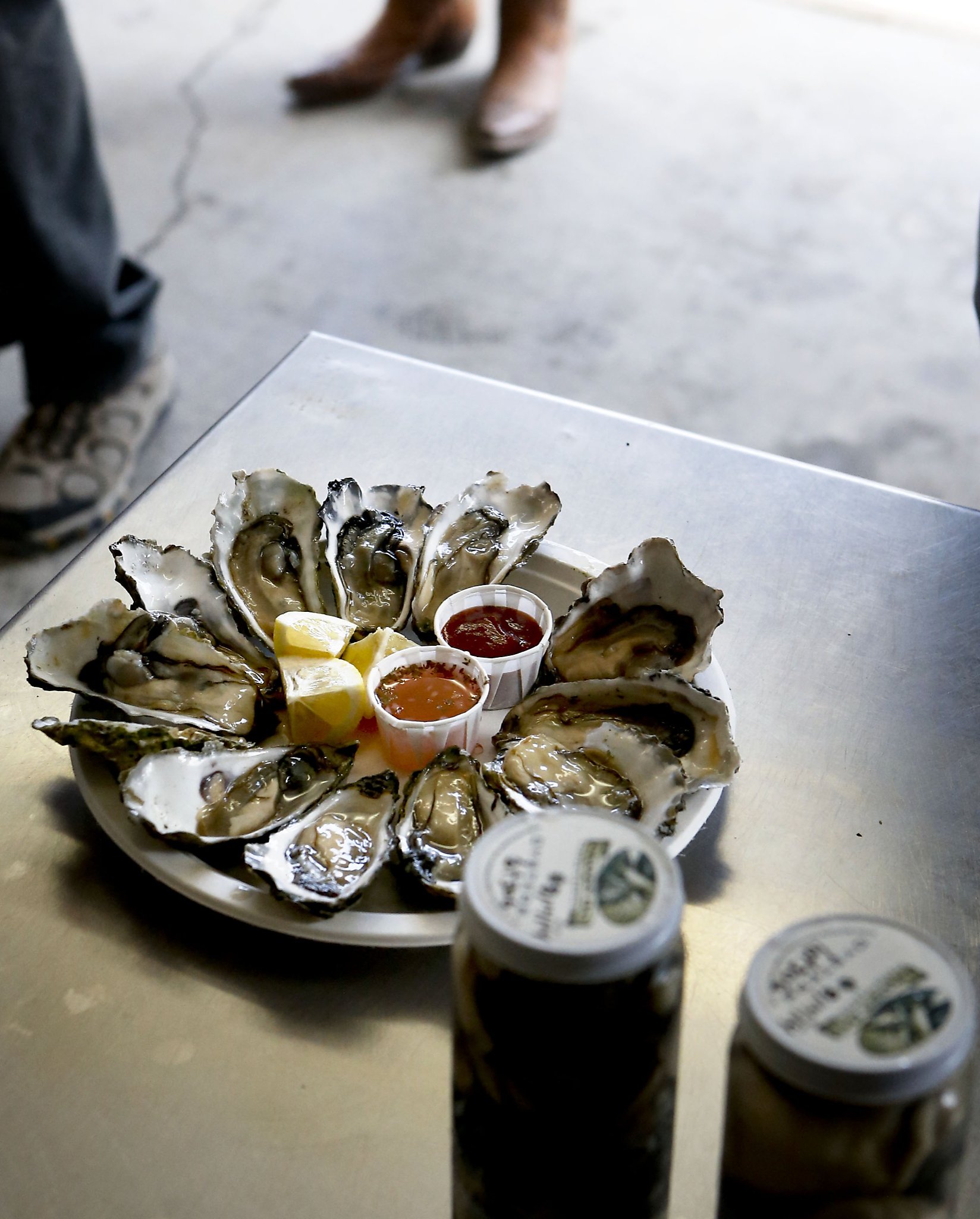 Suit to keep Drakes Bay Oyster Co. open suffers setback