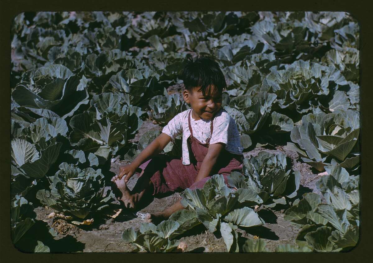 how-migrant-children-lived-in-texas-depression-era-farm-labor-camps