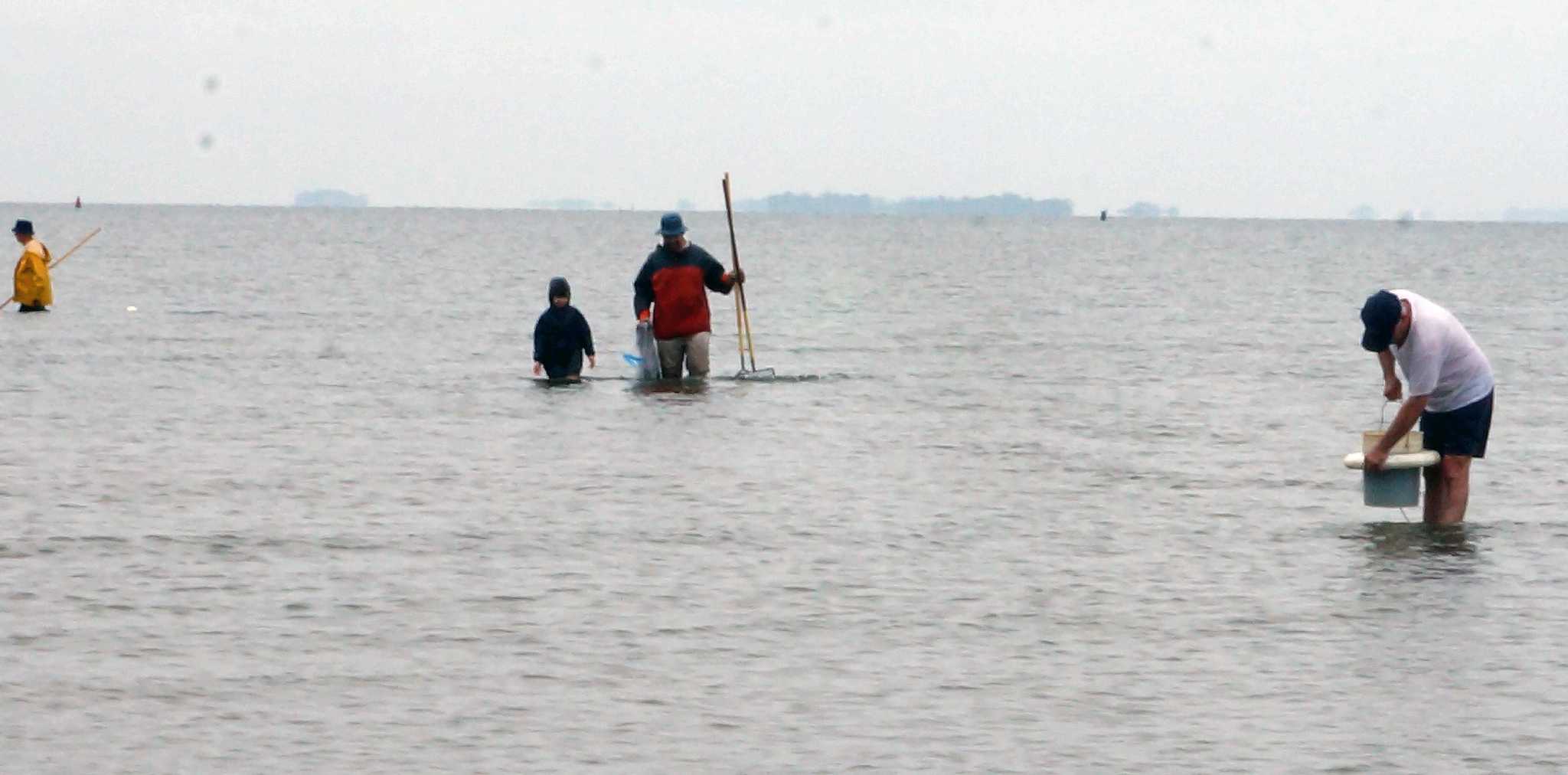 Clam Real Fairfield holds clam clinic