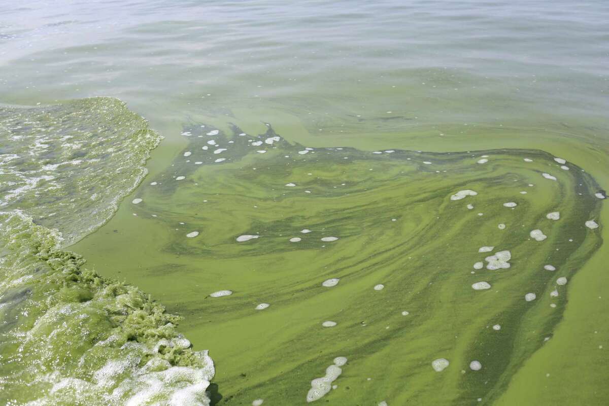 Algae is seen near the City of Toledo water intake crib, Sunday, Aug. 3, 2014, in Lake Erie, about 2.5 miles off the shore of Curtice, Ohio. More tests are needed to ensure that toxins are out of Toledo's water supply, the mayor said Sunday, instructing the 400,000 people in the region to avoid drinking tap water for a second day. Toledo officials issued the warning early Saturday after tests at one treatment plant showed two sample readings for microsystin above the standard for consumption, possibly because of algae on Lake Erie. (AP Photo/Haraz N. Ghanbari)