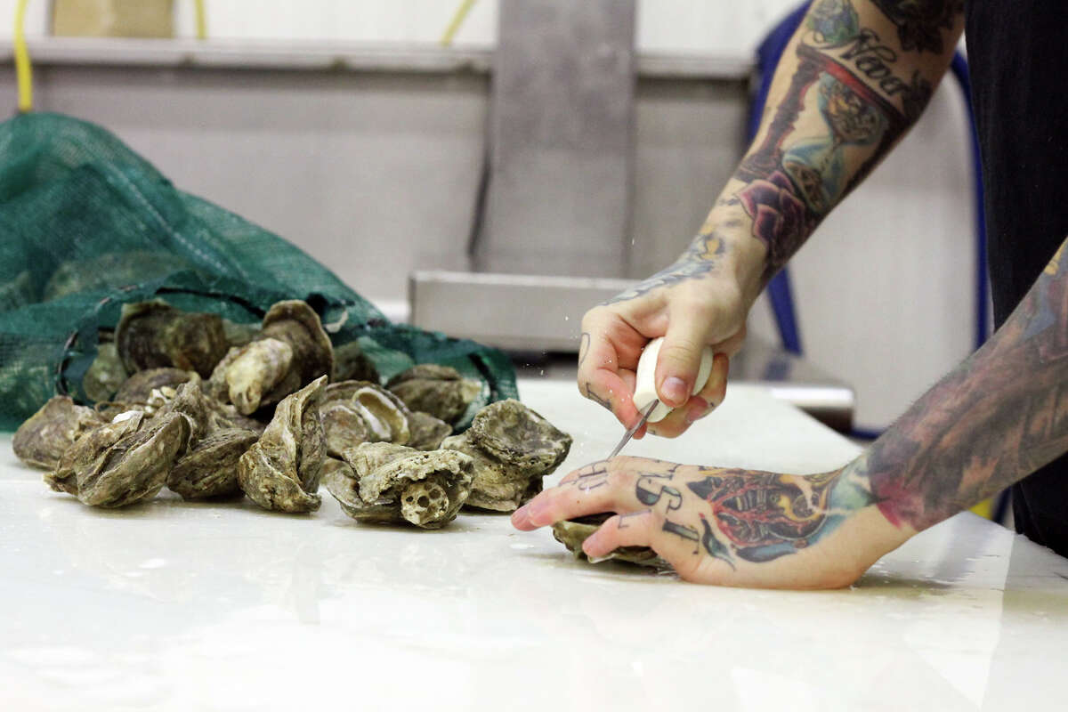 Blake Groomer shucks Texas Gulf Coast Oysters to prepare them for sale at Groomer's Seafood.