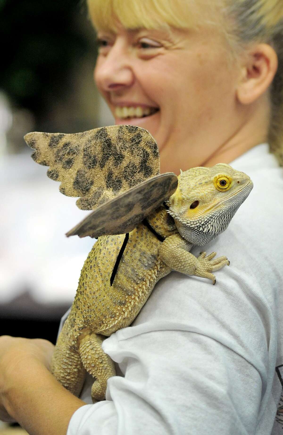 Day in Pictures, Aug. 5, 2014