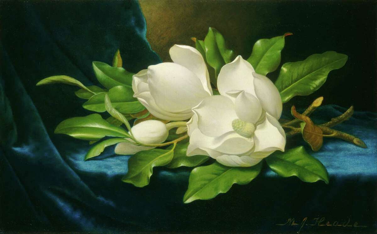 An image of Martin Johnson Heade's "Giant Magnolias on a Blue Velvet Cloth" appears on an I-45 billboard through Aug. 31 as part of the Art Everywhere U.S. program. (c. 1890, oil on canvas, National Gallery of Art, Washington DC, Gift of The Circle of the National Gallery of Art in Commemoration of its 10th Anniversary)