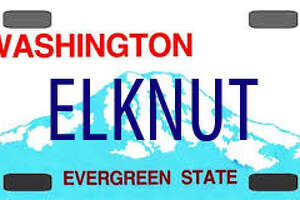 Sexual references, gun mentions: Rejected vanity plates in Washington
