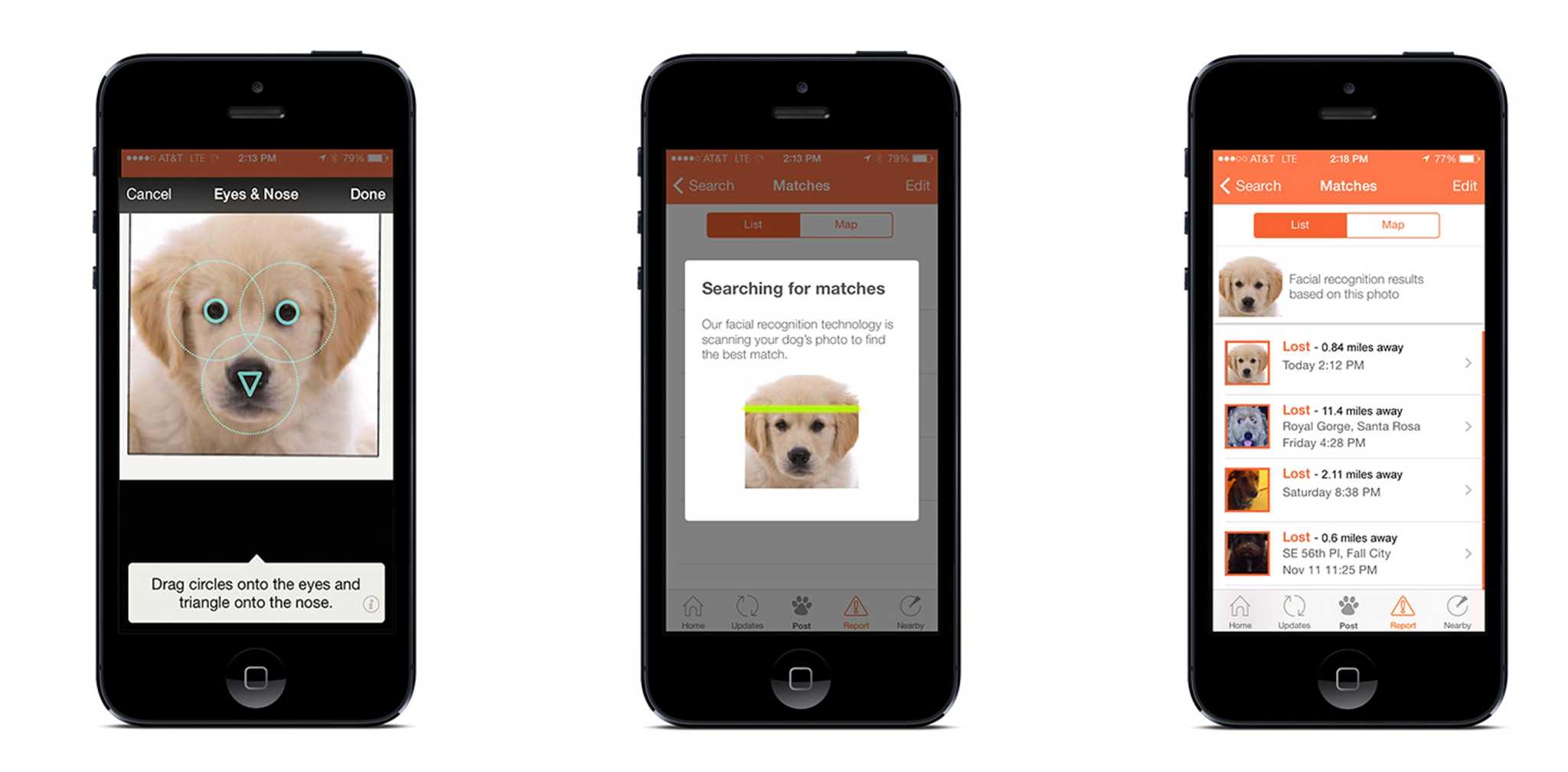 Rover собака. The Pet recognition app. Animal face recognition app. Vin recognition app