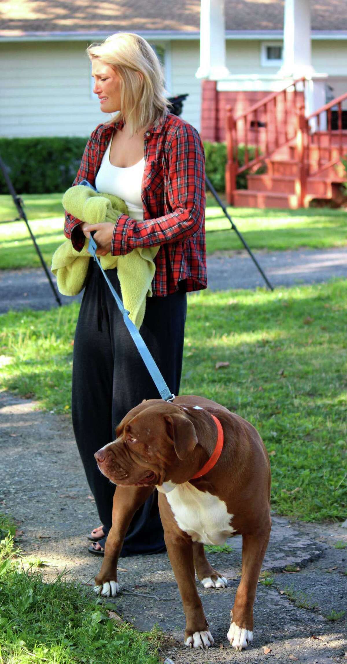 Aggressive dog to be put down