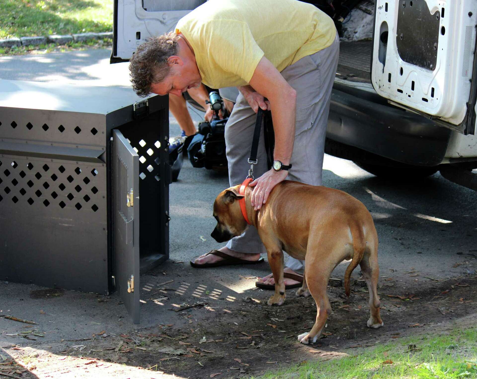 Aggressive dog to be put down