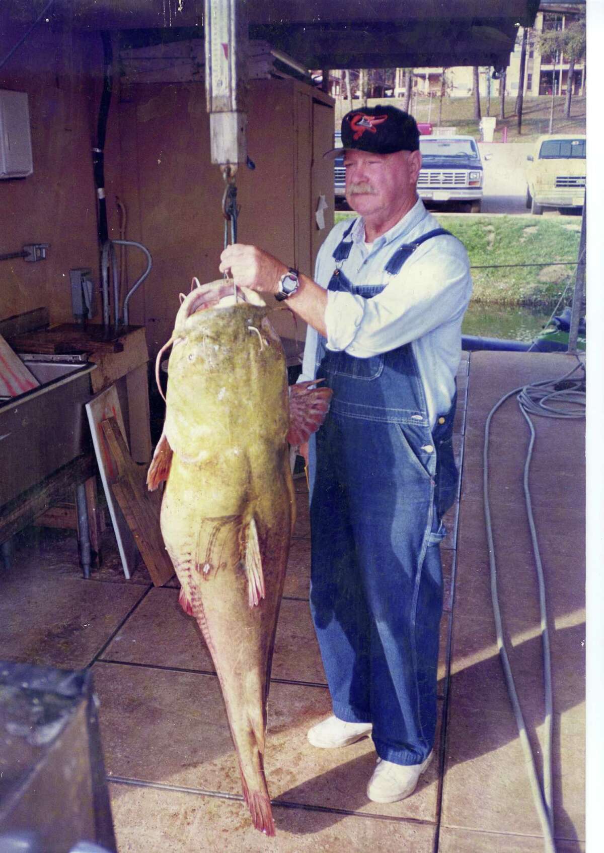 Texas record for freshwater, flathead catfish is 98.5 pounds, caught by James Laster at Lake Palestine December 2, 1998.