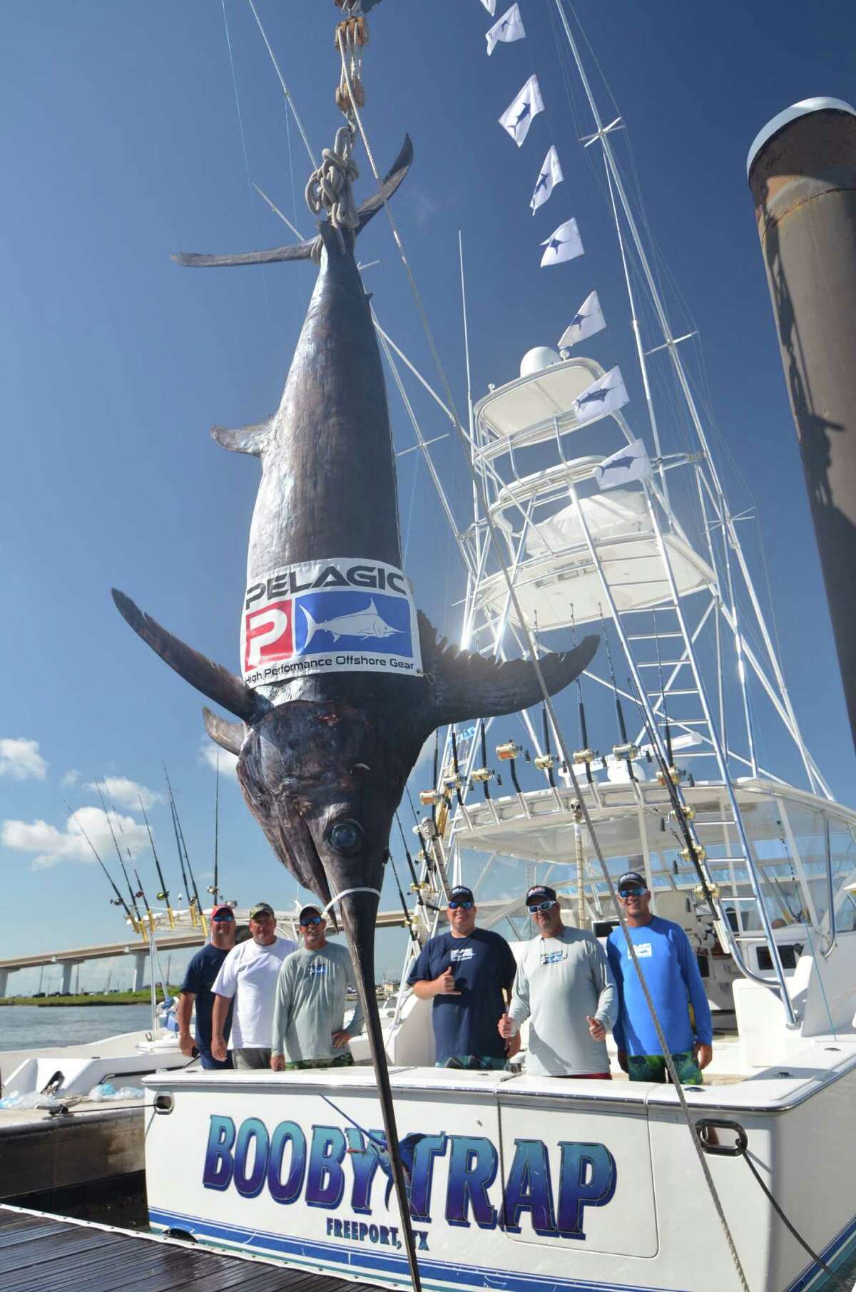 Texas record for swordish is 493 pounds, caught by Brian K. Barclay in Gulf of Mexico June 4, 2013.