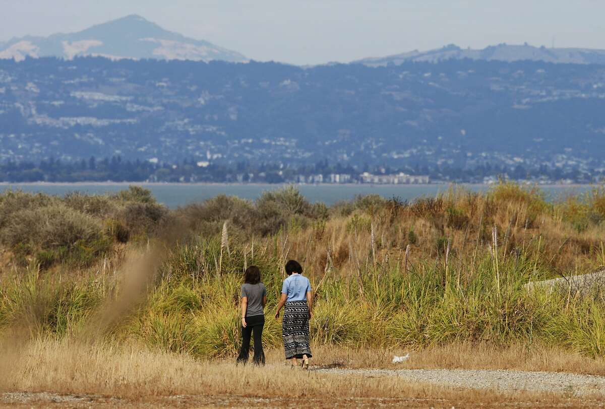 People walk on the grounds of India Basin Open Space on August 04, 2014 in San Francisco, CA. India Basin is the largest remaining privately owned development site in the city. The Build Group is proposing to develop the 14 acre waterfront property with 900 housing units.