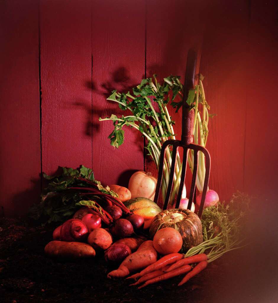 Planting a fall vegetable garden is a hot topic - HoustonChronicle.com