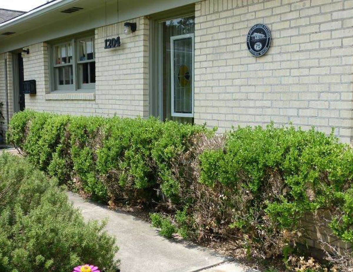 Nematodes in soil kill boxwoods