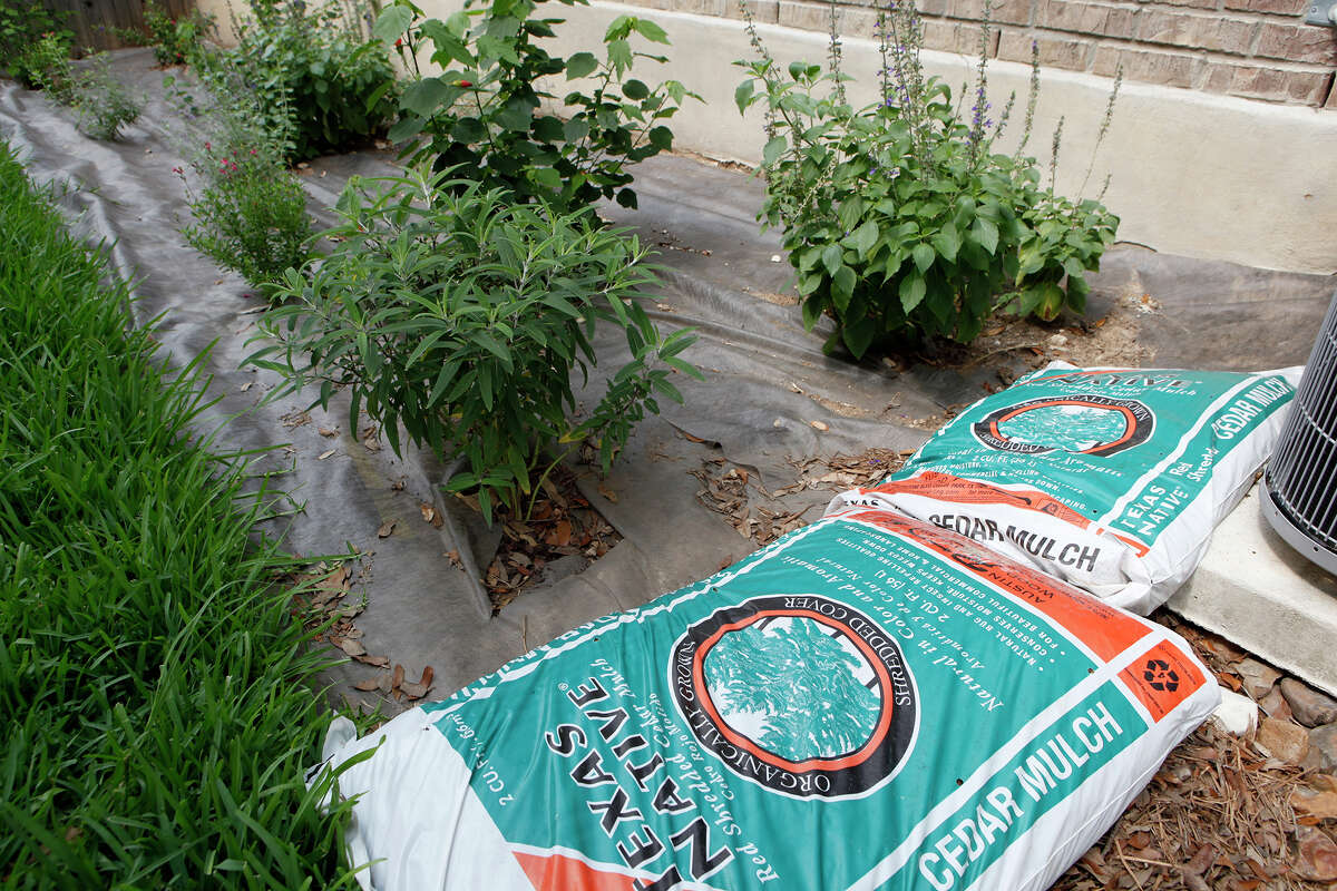 SAWS encourages waterfriendly lawn makeovers with rebate