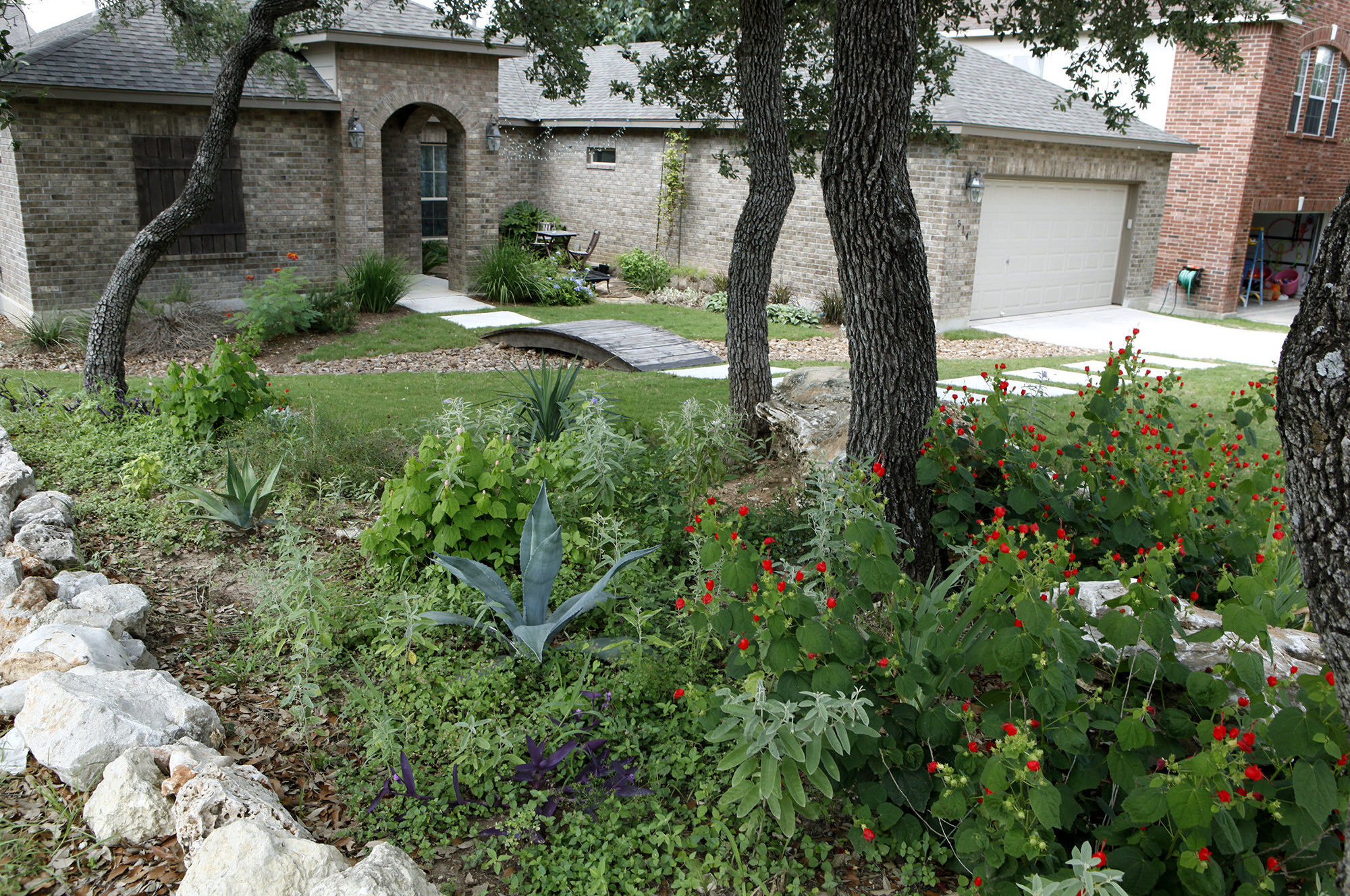 SAWS encourages waterfriendly lawn makeovers with rebate