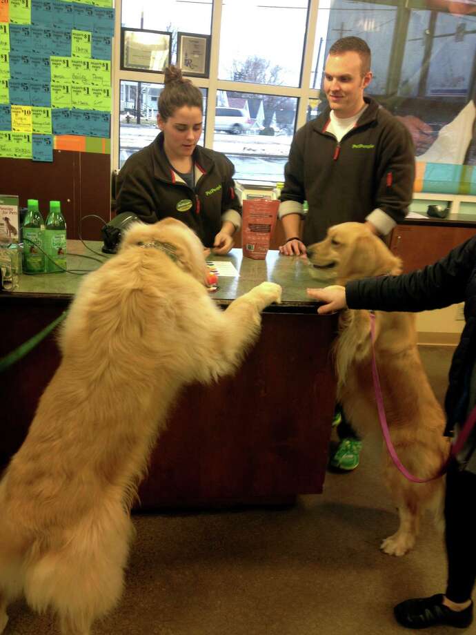 pet store hilliard