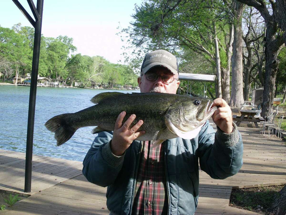 Charles Dewey, of Universal City, shows off his Guadalupe River record largemouth bass, which weighs 12 pounds and measures 26 inches and was caught in April 2014.