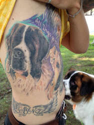 thomas davis dog trainer