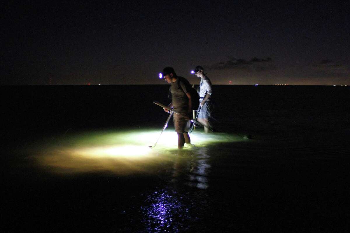 Wyatt Lang and Dylan Motley use portable, battery-powered, submersible lights to sweep the bottom of a sandy flat as they hunt flounder on a summer night. Nocturnal flounder gigging is a traditon along portion of the Texas coast, and can be very effective. Because state fisheries crews conduct their angler harvest surveys during daylight hours and seldom encounter giggers, fisheries manages have only rough estimates of participation in the recreational flounder gigging fishery and the number of flounder those angler take. Thsoe numbers are of great importance to fisheries managers looking for ways to improve the state's struggling flounder population. Houston Chronicle photo by Shannon Tompkins