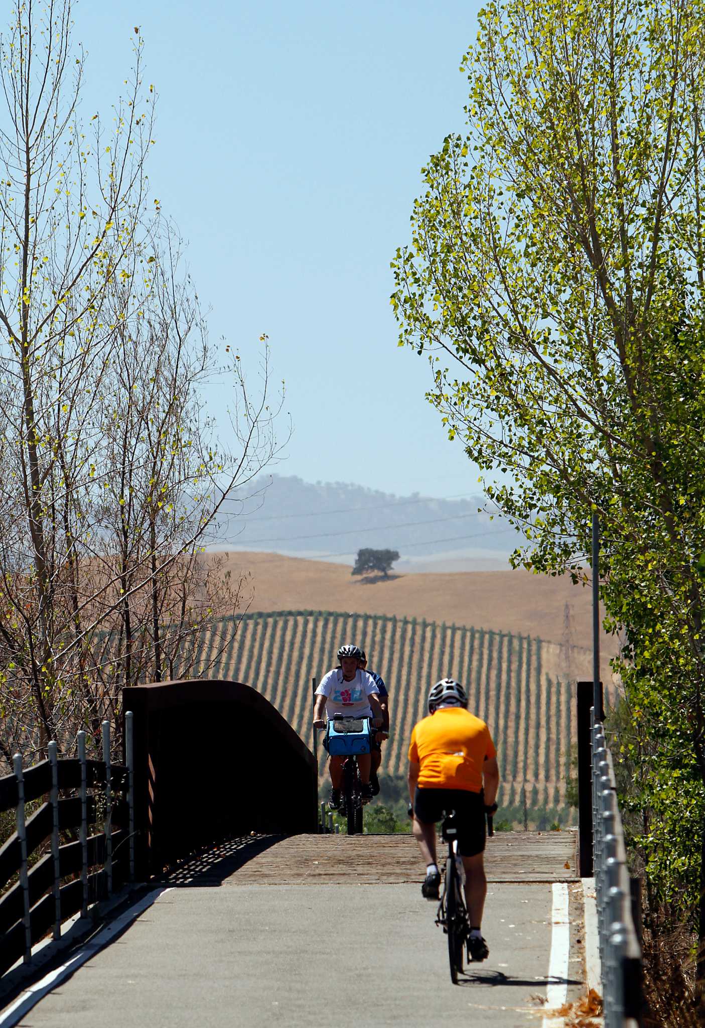 Livermore comes alive for fall