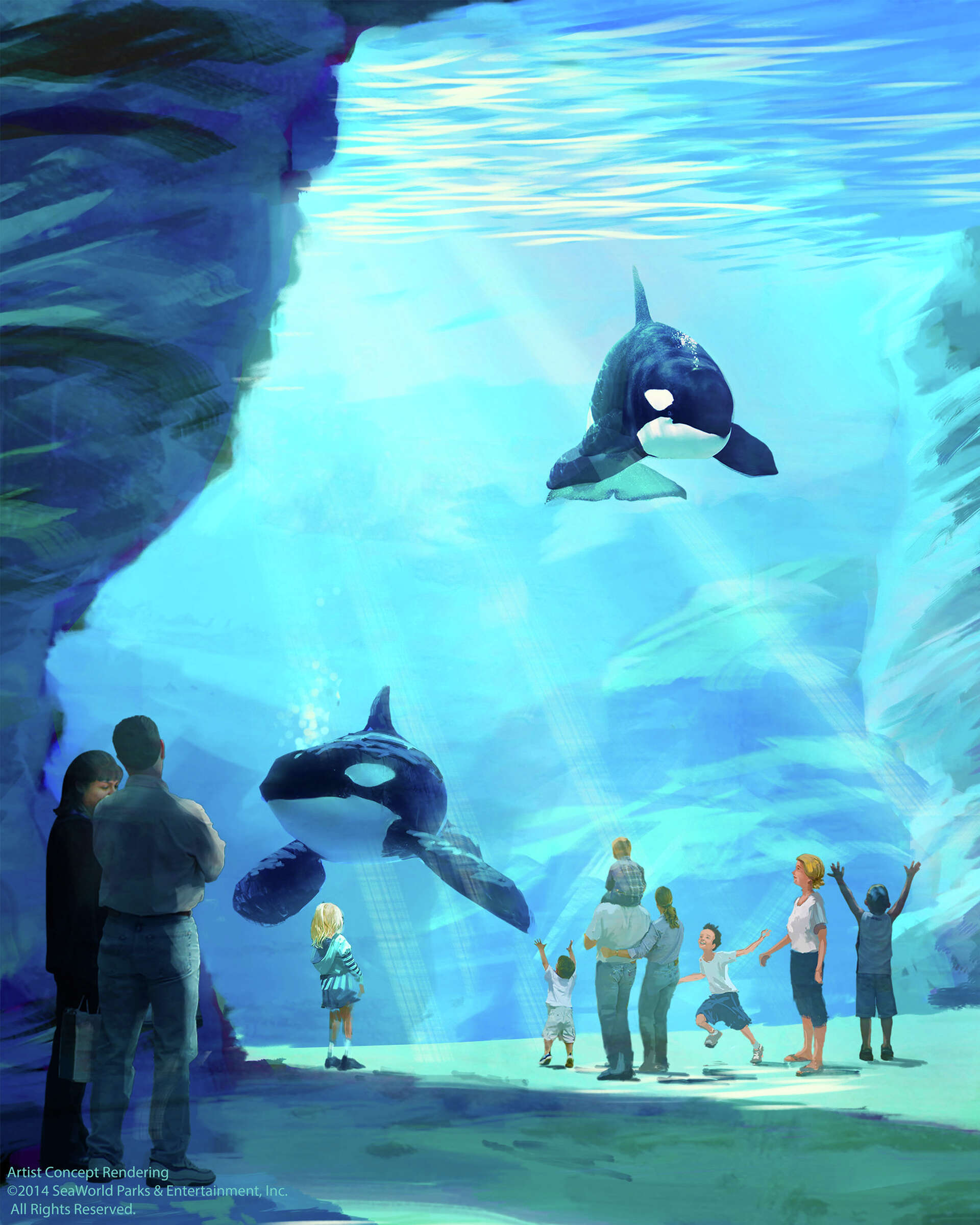 Big changes coming to SeaWorld San Antonio