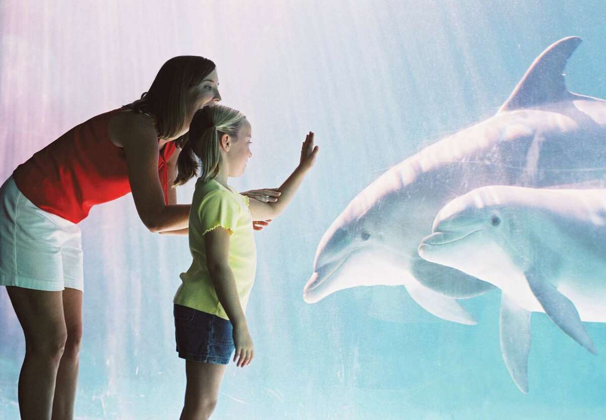 SeaWorld San Antonio is to see construction of a new dolphin habitat. The changes will feature a coastal theme.