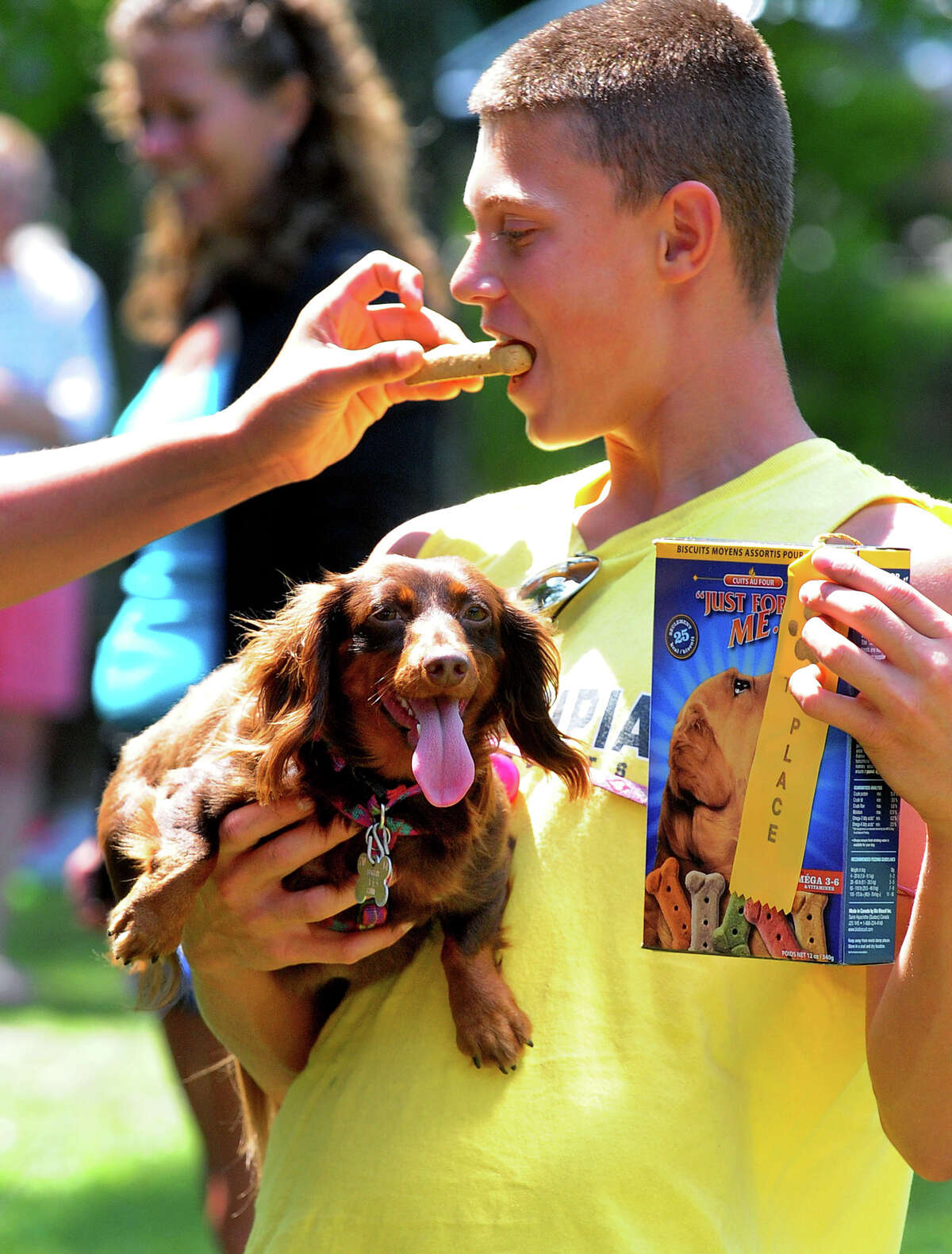 Connecticut Yankee Dachshund Club's annual gathering in Trumbull