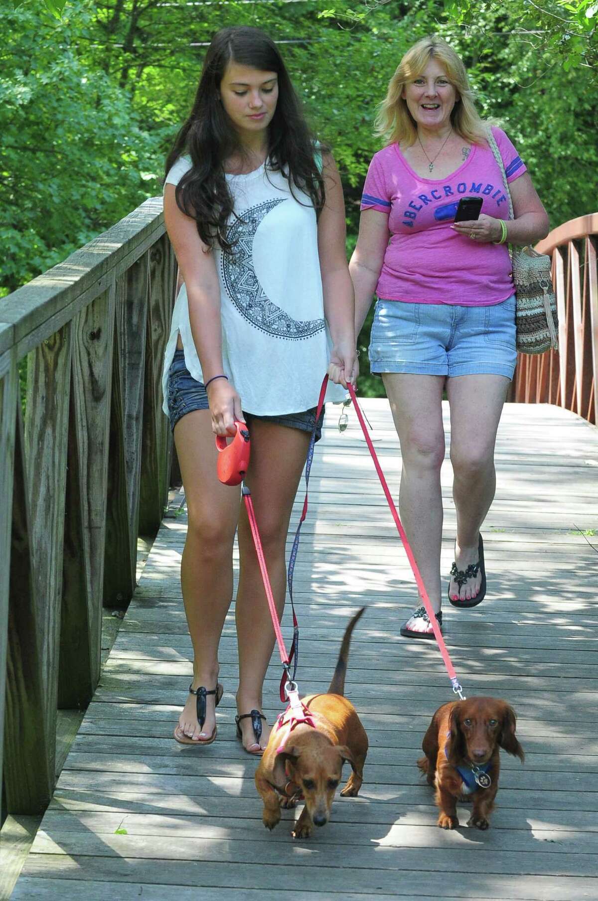 Connecticut Yankee Dachshund Club's annual gathering in Trumbull