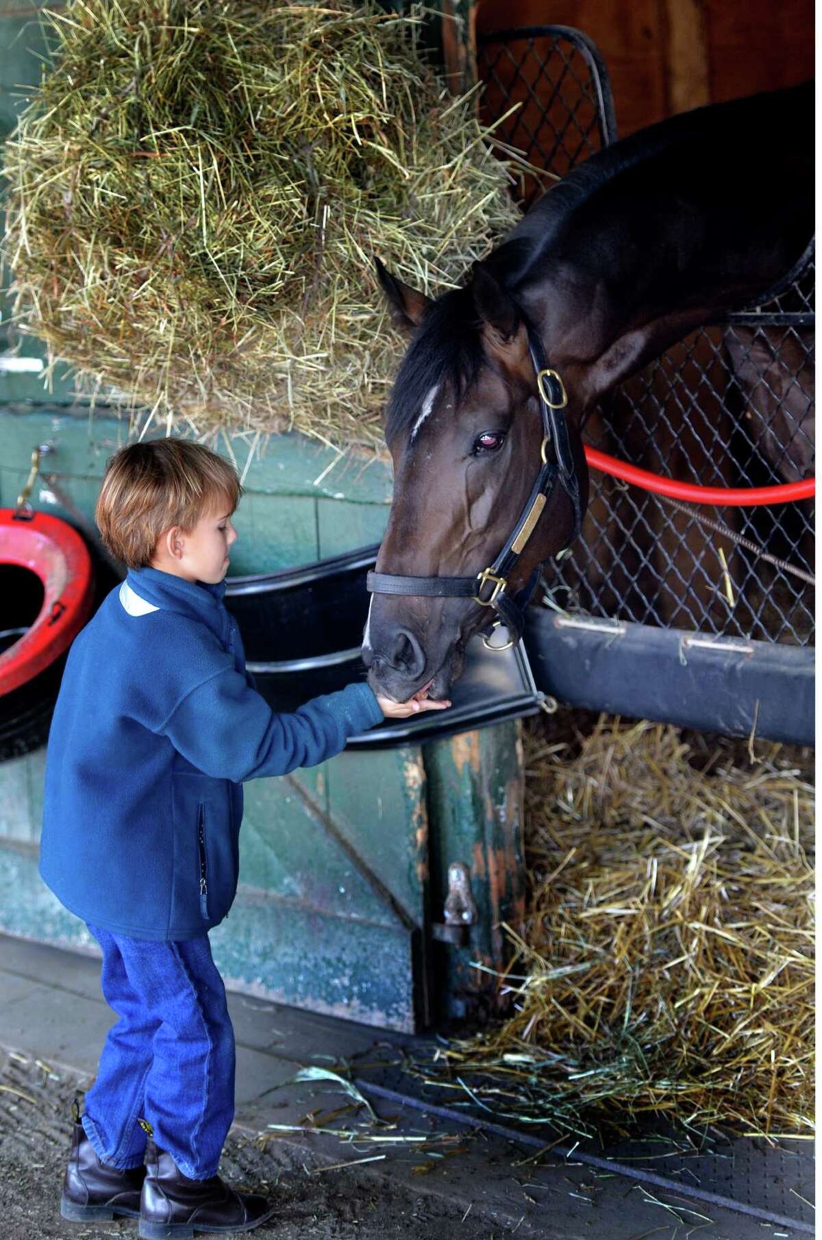 Phipps has its stake in Travers