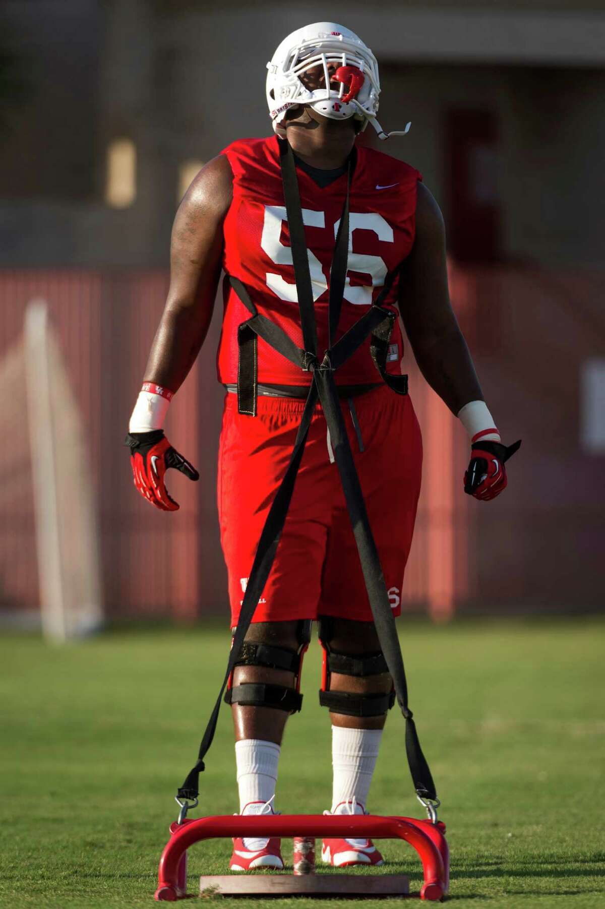 Damien Holland