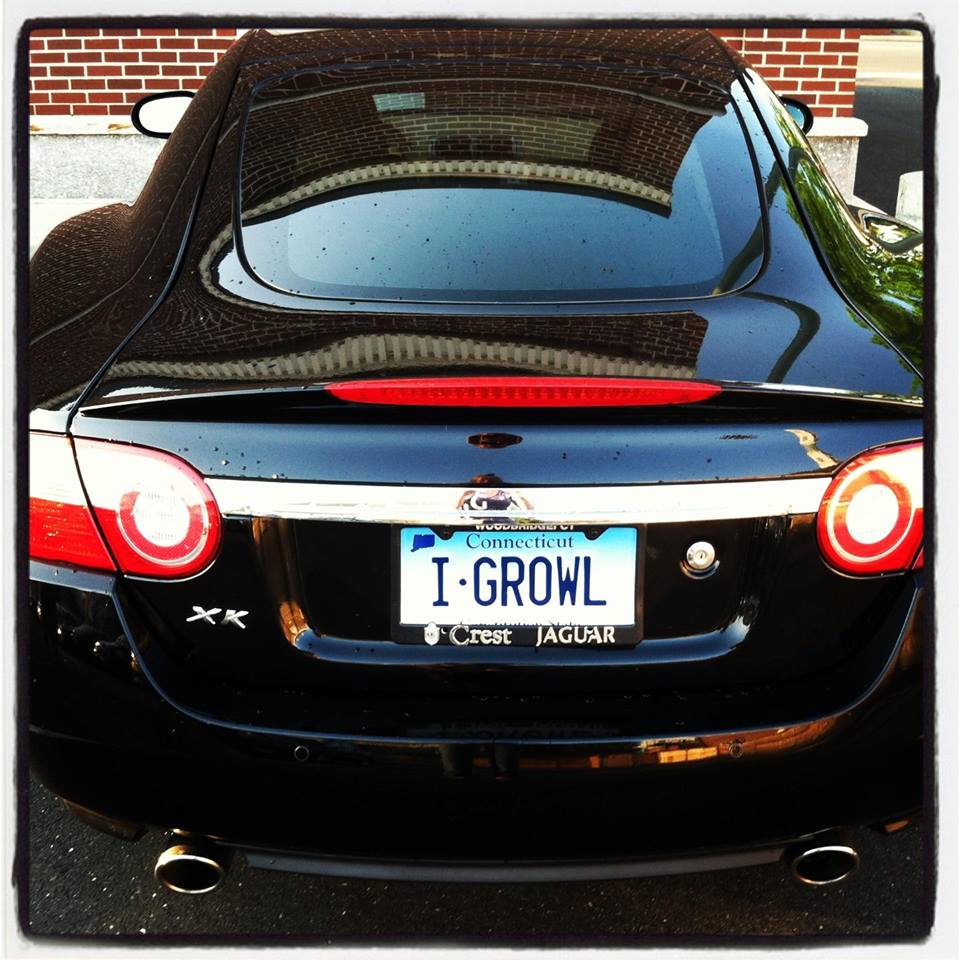 HELP WITH GREAT LICENSE PLATE IDEAS Personalized License Plate Ideas for .....