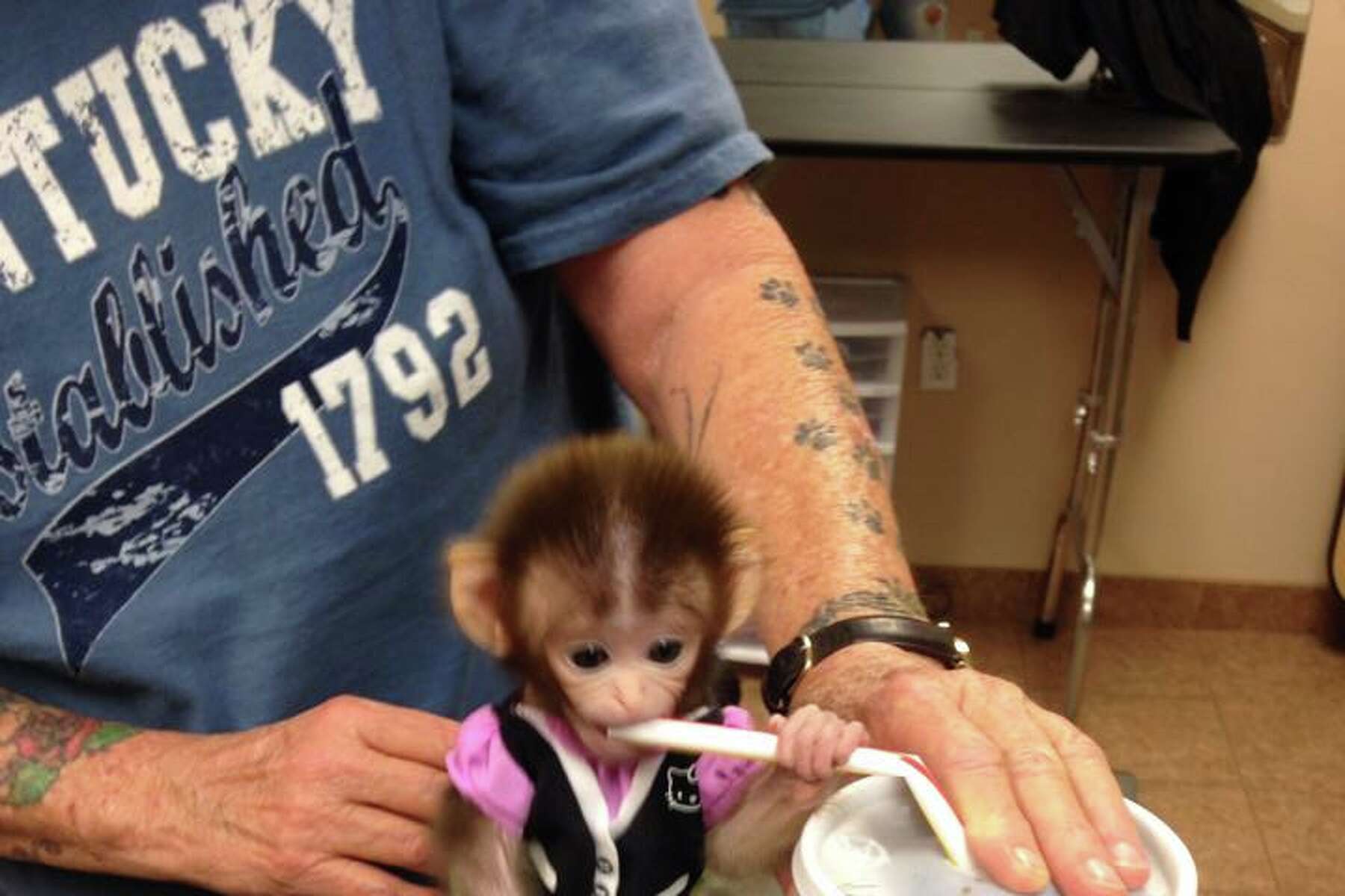Kingwood Monkey An Online Hit But Animal Experts Fear She Is Doomed To A Life Alone