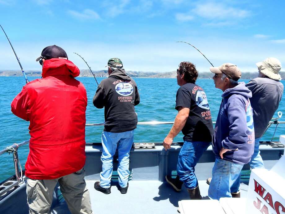 Fishing surges as salmon hit the highway SFGate