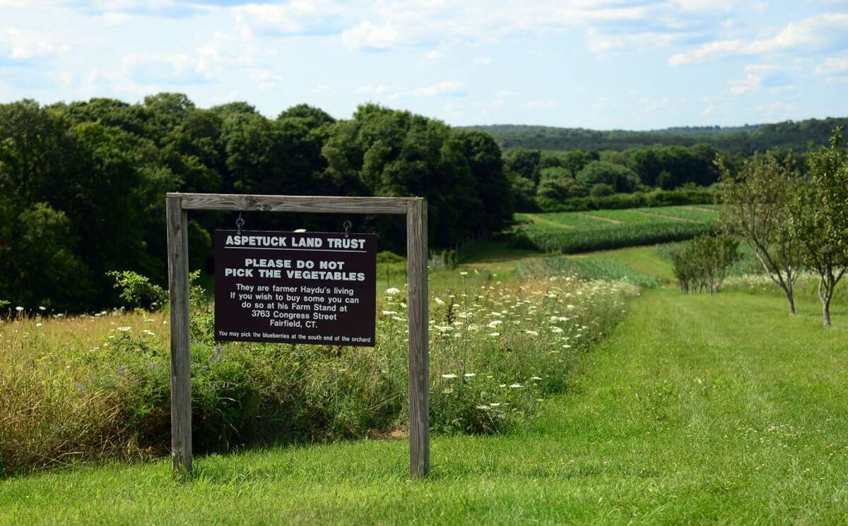 Many paths lead to CT Trails Weekend activities