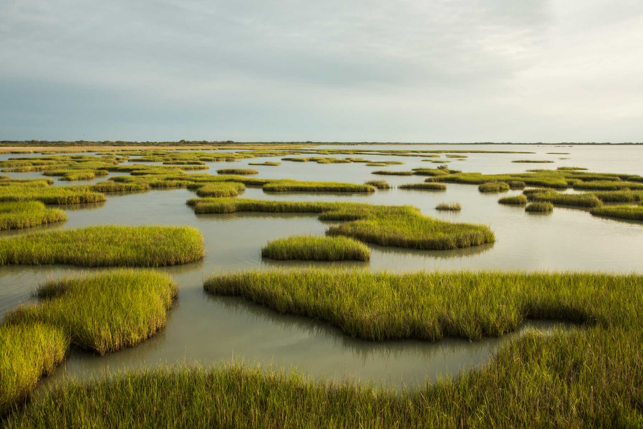 Pristine Piece Of Texas Coast Becoming A State Park   RawImage 