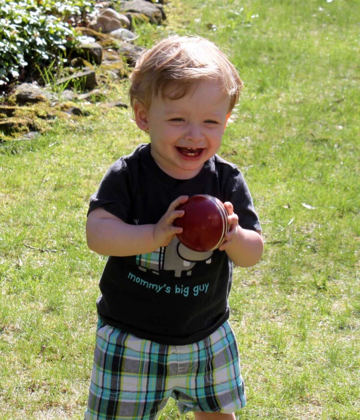 Benjamin Seitz, the 15-month-old son of Kyle and Lindsey Rogers-Seitz of Ridgefield, died July 7 after his father left him in the car for what police called "an extended period of time."