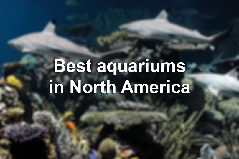The best aquariums in North America