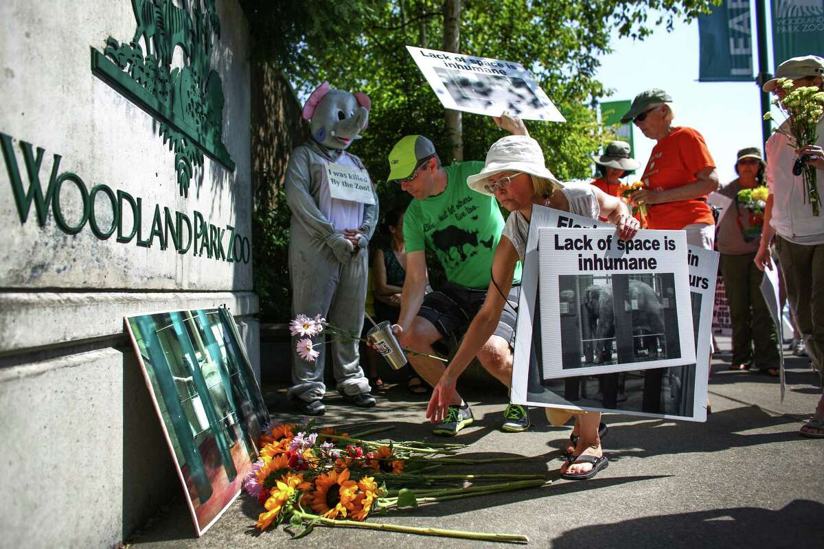 People place flowers at the gates of Woodland Park Zoo during a vigil after the death of Woodland Park Zoo's African elephant Watoto. The 45 year-old elephant was euthanized after she fell ill in her enclosure. Friends of Woodland Park Zoo Elephants organized the gathering to mourn the death and to call for the retirement of Bamboo and Chai, the other two elephants on display at the zoo. Photographed on Saturday, August 23, 2014.
