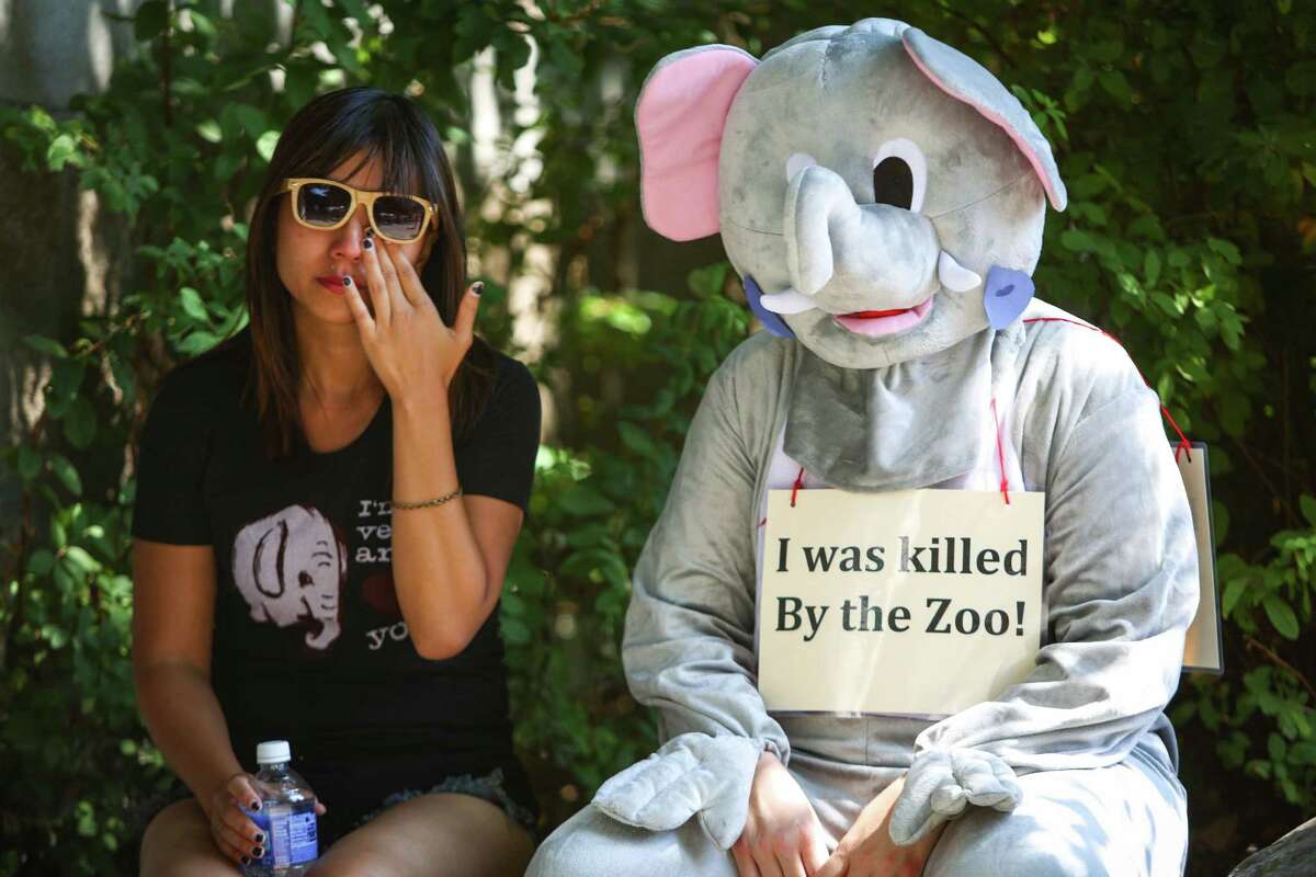 C.C. Chan wipes away tears as she sits next to Meaghan Casey, in costume, during a vigil after the death of Woodland Park Zoo's African elephant Watoto. The 45 year-old elephant was euthanized after she fell ill in her enclosure. Friends of Woodland Park Zoo Elephants organized the gathering to mourn the death and to call for the retirement of Bamboo and Chai, the other two elephants on display at the zoo. Photographed on Saturday, August 23, 2014.
